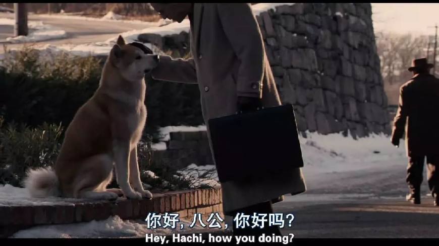 如果发生这3种情况，你的狗子可能不得不被安乐死，你能接受么？