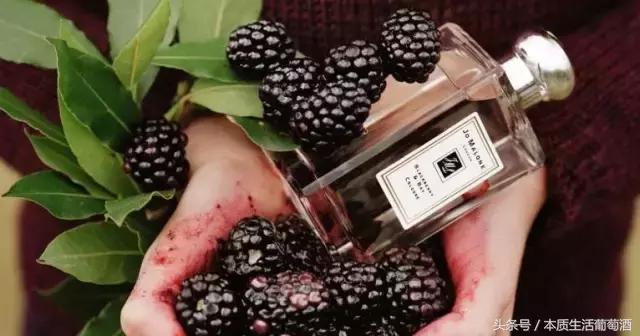 葡萄酒里面有哪些水果,喝葡萄酒前一定要知道的那些事