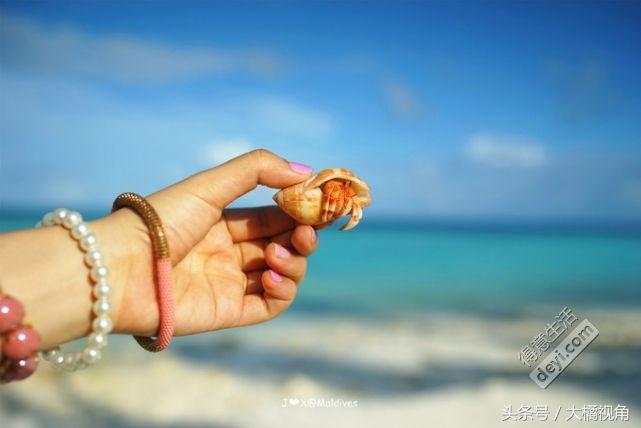 奥臻岛有什么吃的,奥臻岛一价全包多少钱