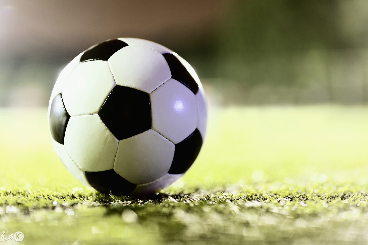 足球场上猫狗进球,足球场上进球场面