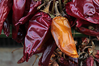 佳能750d相机详细介绍,佳能750d与全画幅相机对比