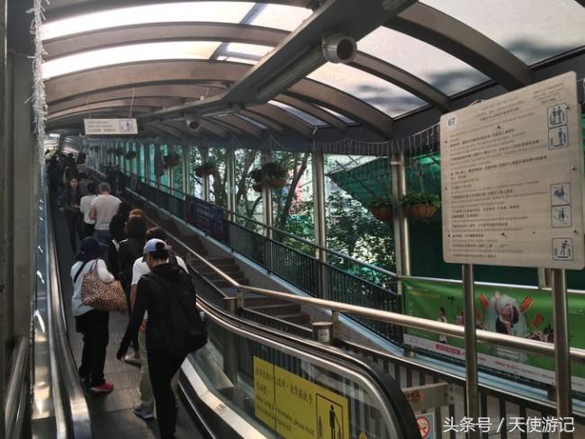 香港一日游自由行攻略及费用,省钱版香港一日游攻略