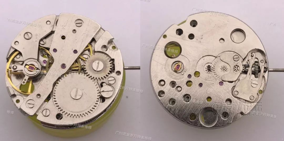 学会修表很简单：零基础也能学会2824、955、2834、2892机芯保养
