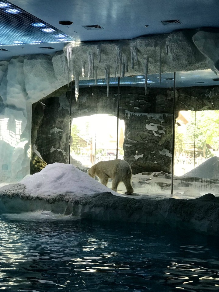 两天一晚珠海长隆旅游攻略,珠海长隆旅行一日游需要准备什么
