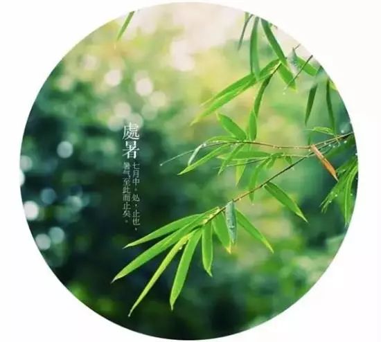 诗词原创长相思,长相思情感经典诗词