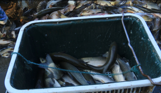 谁说农村不如城里,谁说农村生活不如城里