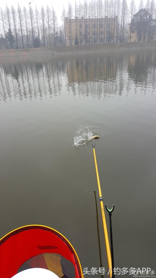 台钓竿双钩,台钓双钩沉底