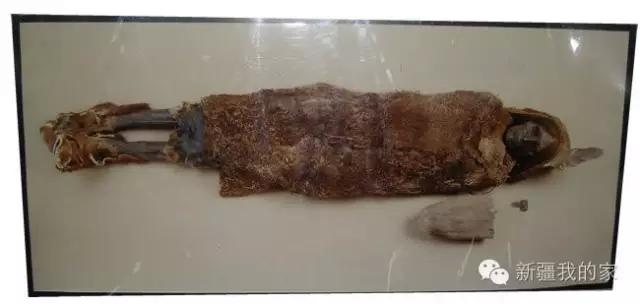 面积是全国最大县，农民收入直逼上海，说的就是*疆新**这个县