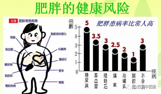 减肥为啥越减越肥,天天减肥越减越肥幽默句子