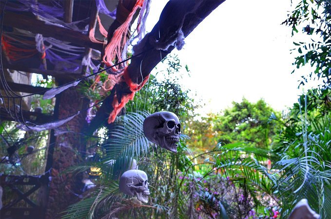 人间仙境三亚,三亚人间天堂全景