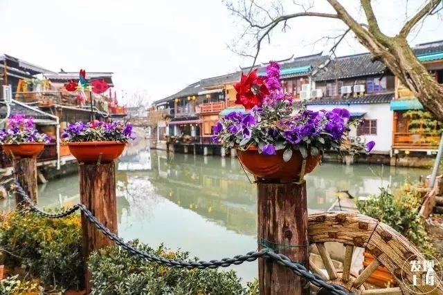 上海17号地铁能直达朱家角镇,上海朱家角地铁17号线出口