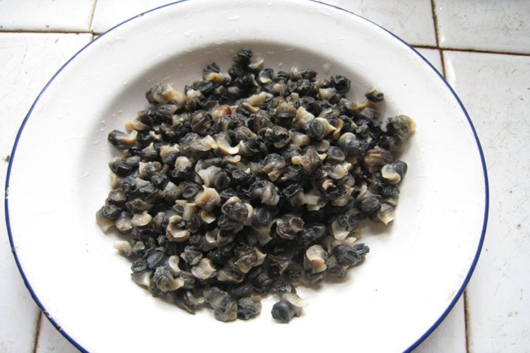 史上爆护的鲫鱼小米窝料制作方法,冬天钓鲫鱼用什么味的窝料最好