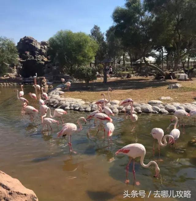 免签国家一览表最新,2023最新免签国家