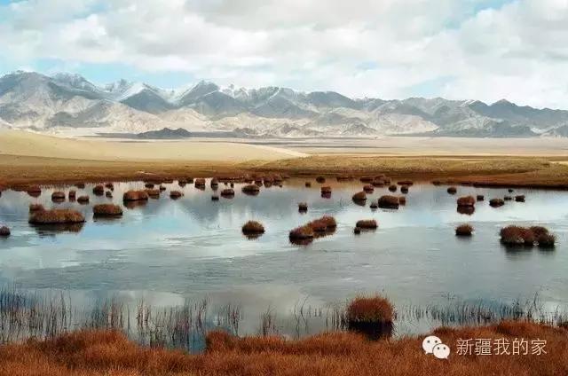 面积是全国最大县，农民收入直逼上海，说的就是*疆新**这个县