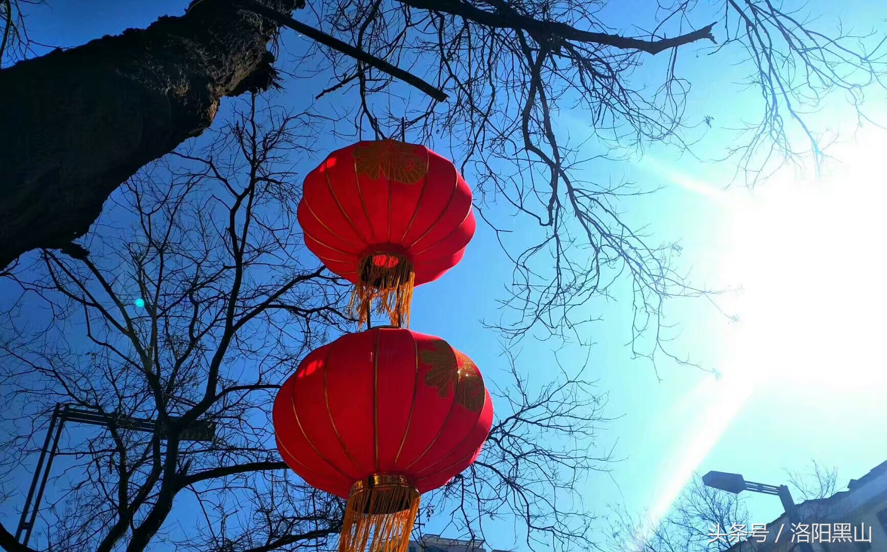 宜阳小灯笼,宜阳红灯笼