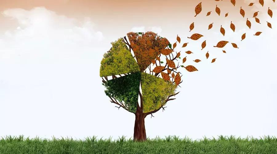 积木盒子最新收益率,积木盒子理财新手