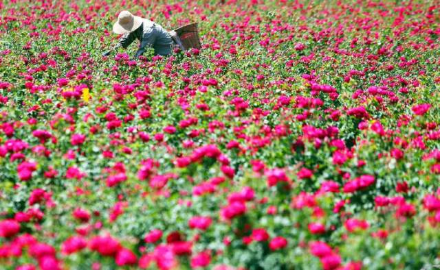 五一何须远游昆明近郊玩场多