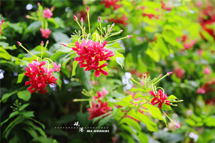 ◆周末度假去哪儿◆——在越南岘港逛吃逛吃