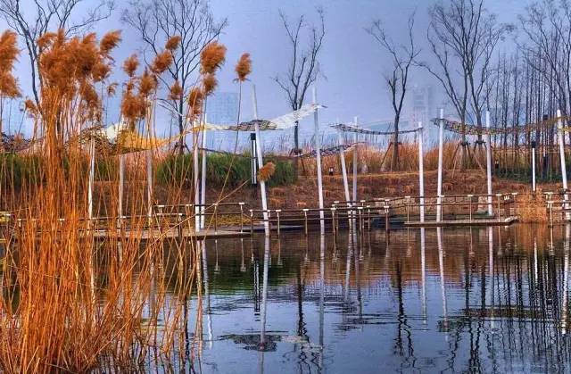 上海各区五一福利,上海免费领取的福利