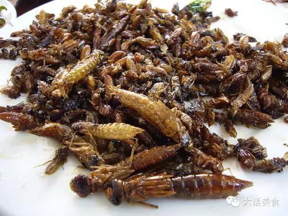 这50道美食你都吃过几种,盘点你看了馋又不敢吃的美食