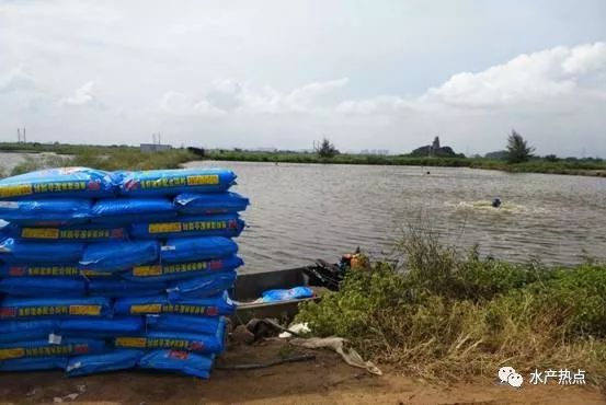 流水槽新型水产养殖模式,新型池塘循环水产养殖