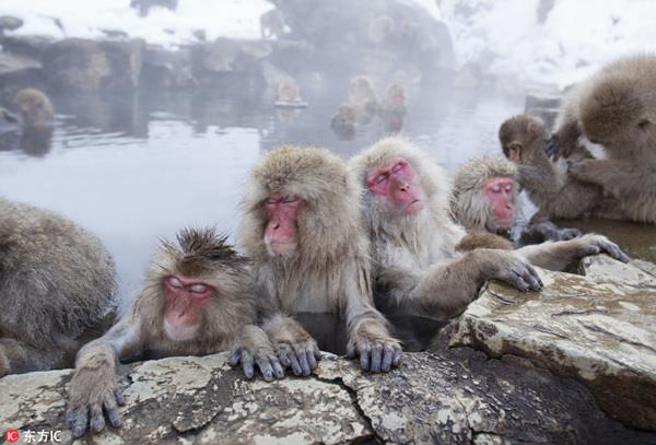 收藏！没泡过这些温泉的人生是不完整的！