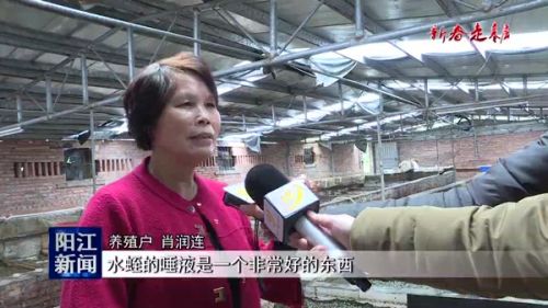 水蛭菲牛蛭生态养殖,水蛭养殖技术创新