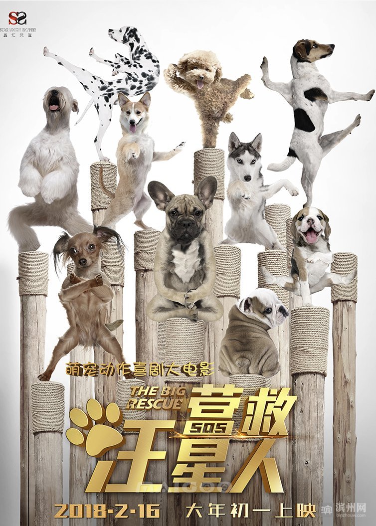 滨州各大影院春节期间正常营业  大年初一竟有9部新片扎堆上映