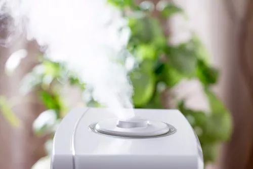 撸猫遇到静电,撸猫静电