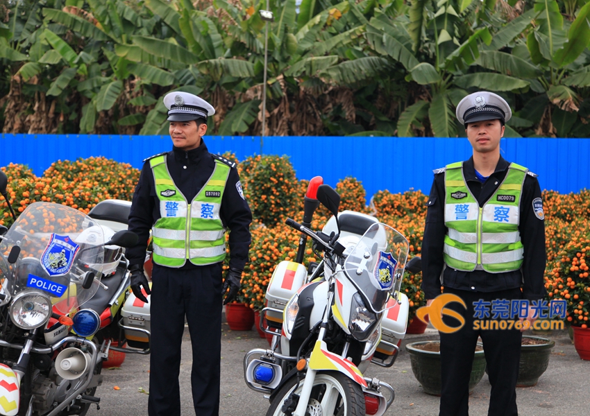 武汉迎春花市新品种,一年一度的迎春花市即将闪亮登场