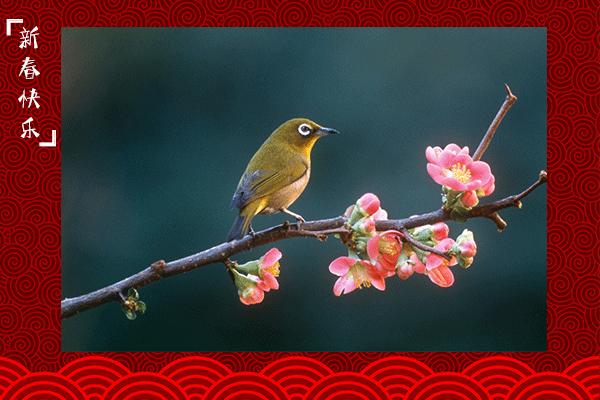 「不同的习俗共同的佳节」贴什么对联?