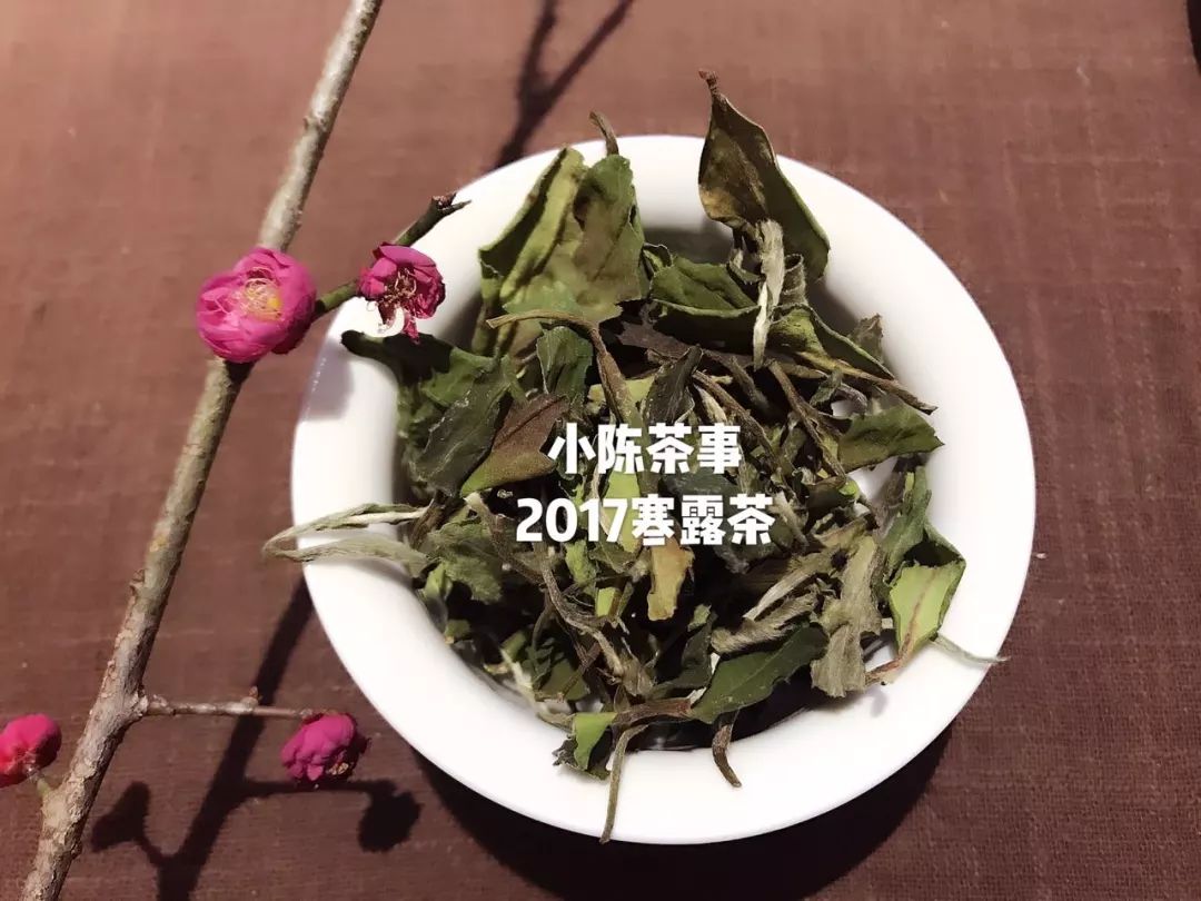 春节期间买茶,春节买茶