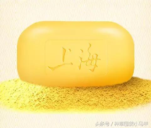 快递停了还能买东西吗,快递停了能买吗