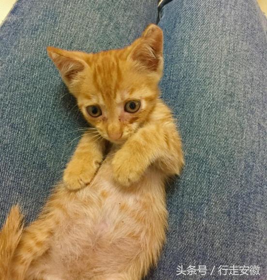 不好，“蛋蛋”有危险