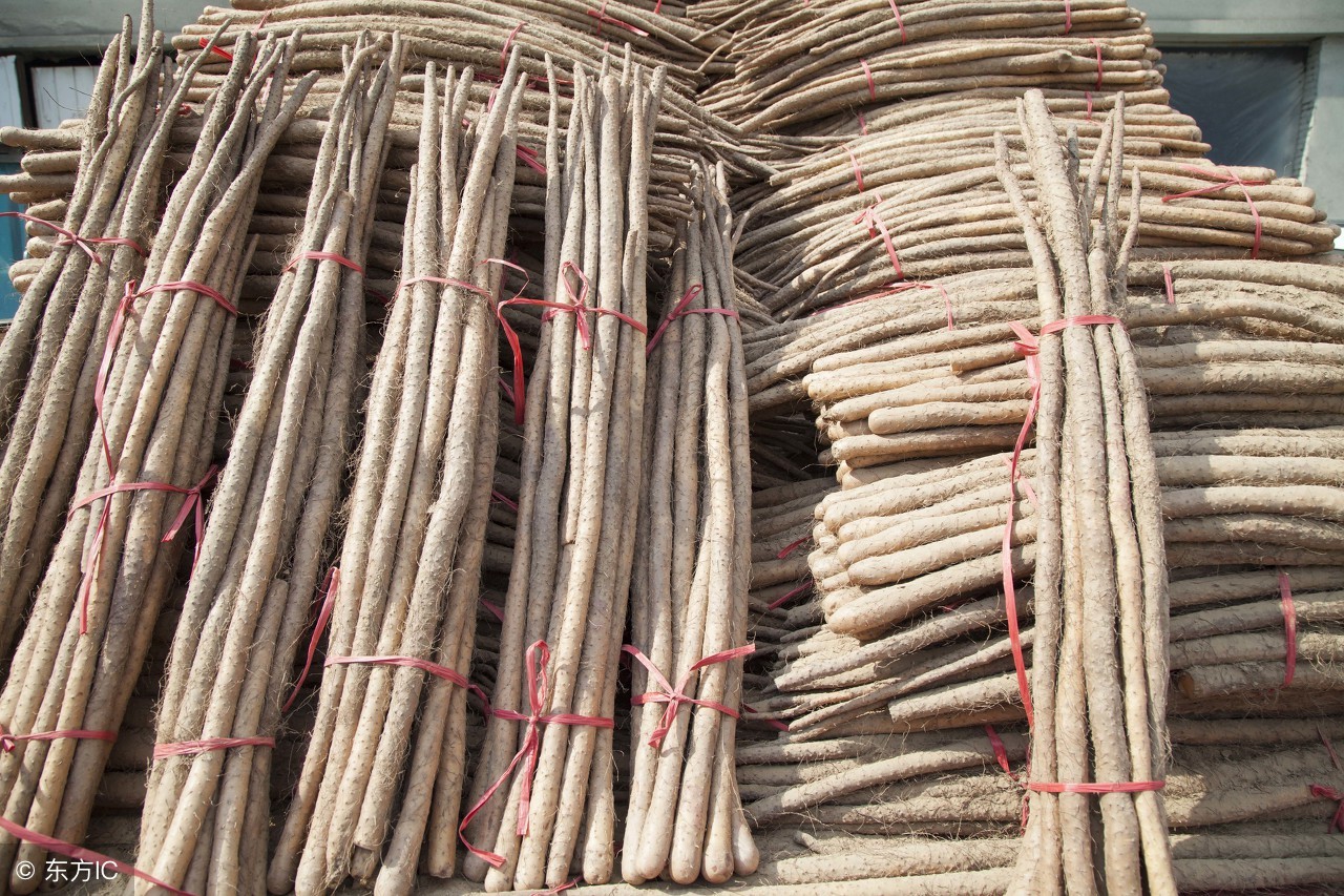 这种蔬菜堪比人参一定要常吃,这三种普通的蔬菜是冬天的补药