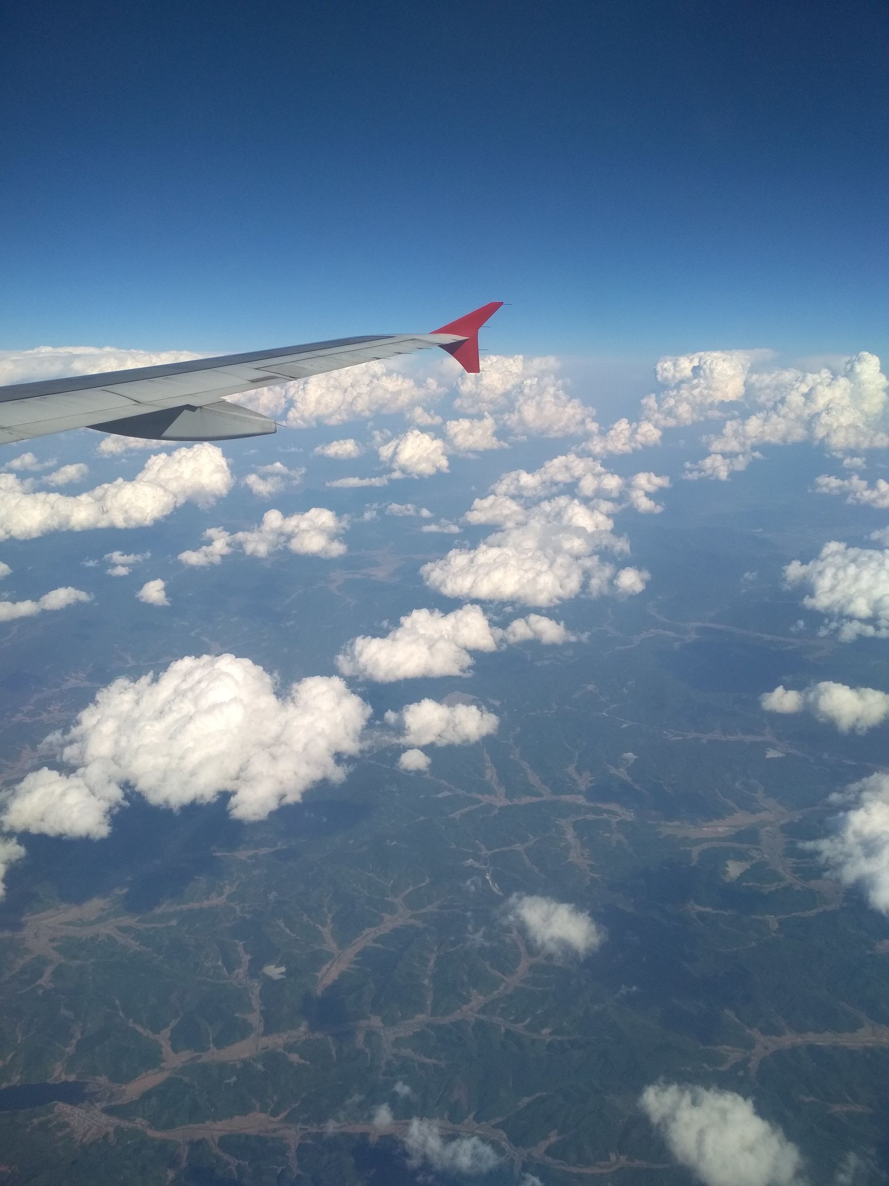 国贸毕业，都去哪里工作了