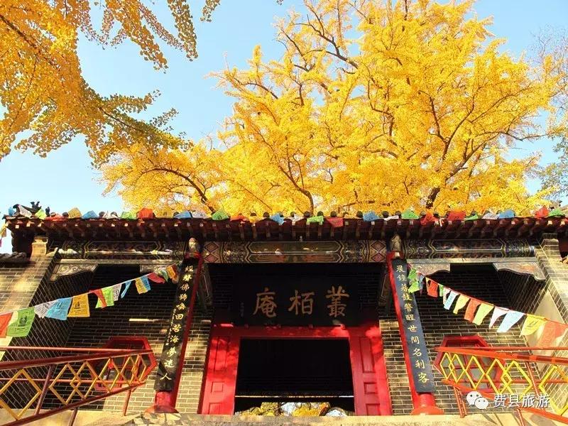 费县县城最惊艳的地方,费县有意境的地方