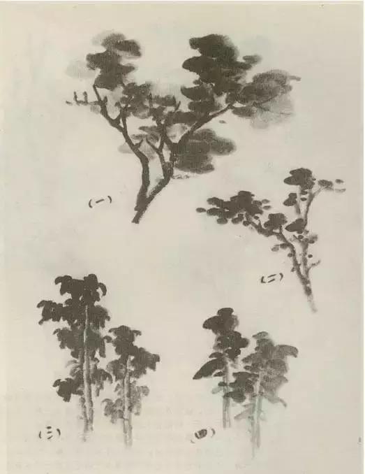 怎么画枯萎的树简单又好看,成长树怎么画小学生六年级