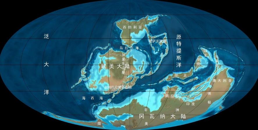 石炭纪煤炭是怎么形成的,为什么石炭纪产生煤炭