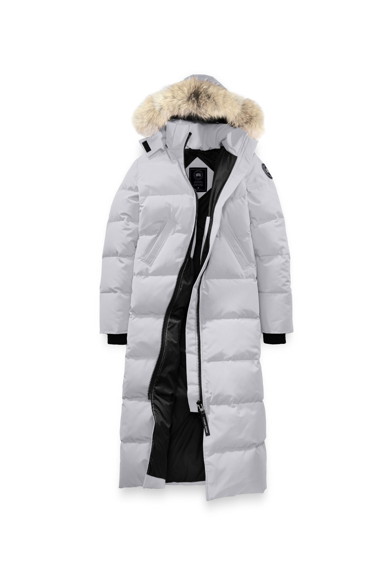 你轻易就买到的加拿大鹅，一定是假货