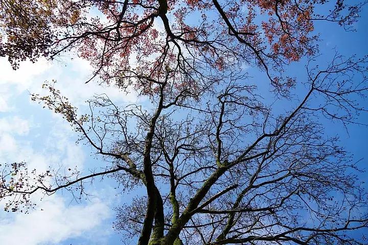 e-mount索尼,emount镜头焦段