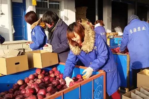 查看淘宝前500名销量,看淘宝店销量