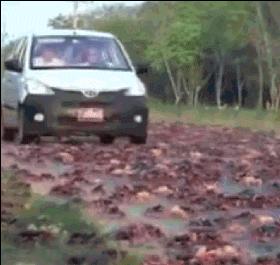 操劳过度好好休息,操劳过度和劳累过度有什么区别