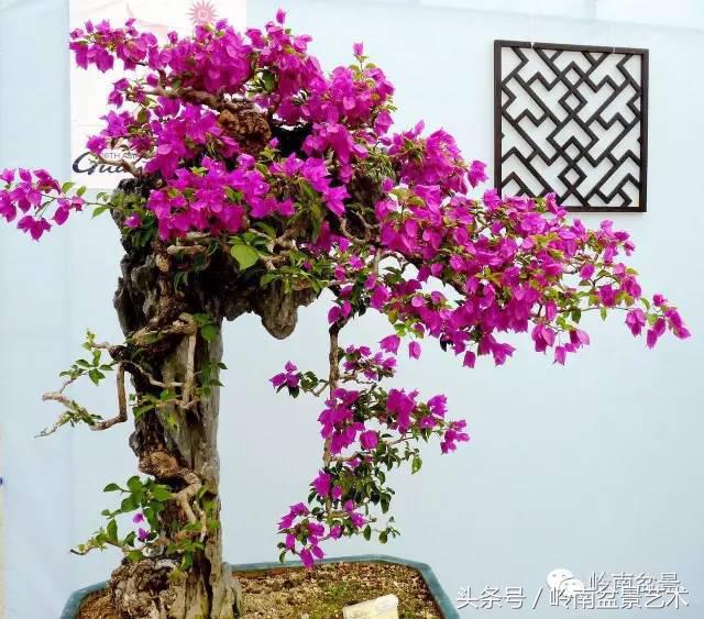 过年送礼好不好,过年送礼单数还是双数好