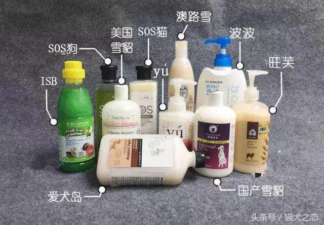 哪款宠物沐浴露好用又安全,petwish宠物沐浴露怎么样