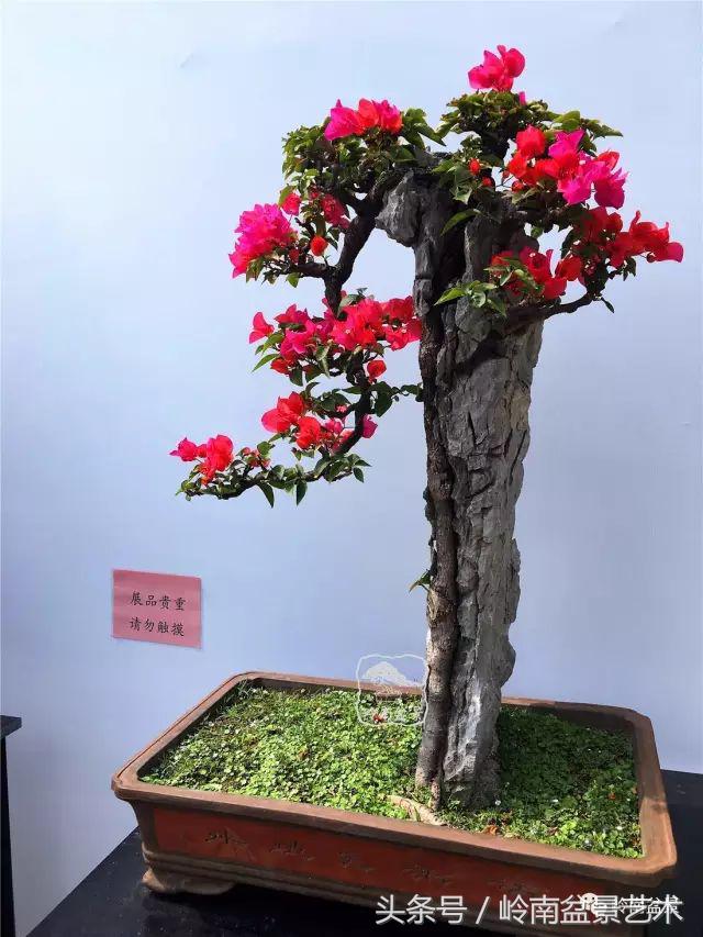 过年送礼好不好,过年送礼单数还是双数好