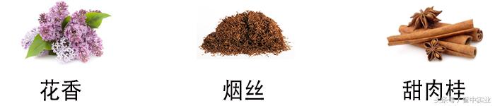 西班牙葡萄酒厂排名前十,西班牙葡萄酒知名品牌有哪些