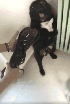 操劳过度好好休息,操劳过度和劳累过度有什么区别