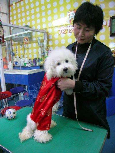 拼多多40个偏门冷门网店生意,冷门零成本的创业门路项目有哪些