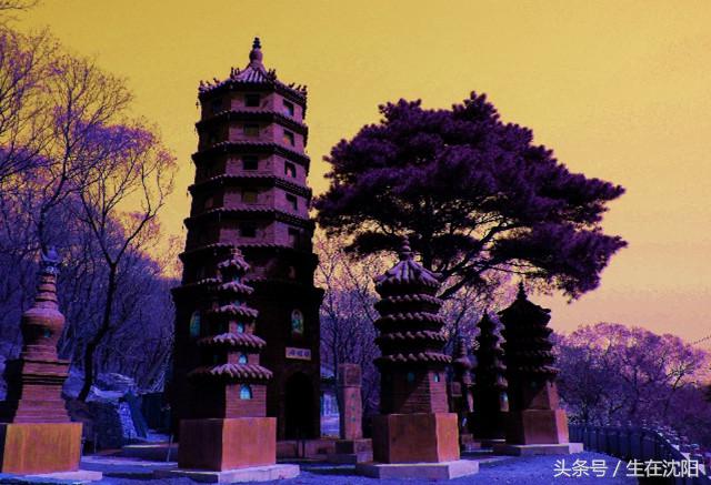 沈阳的五龙山在哪,沈阳五龙山有多高